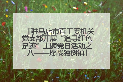 驻马店市直工委机关党支部开展“追寻红色足迹”主题党日活动之八——鏖战独树镇