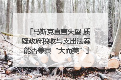 马斯克直言失望 质疑政府税收与支出法案能否兼具“大而美”