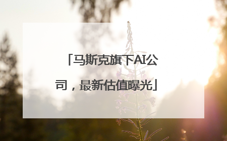 马斯克旗下AI公司，最新估值曝光