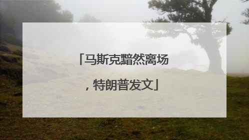 马斯克黯然离场，特朗普发文