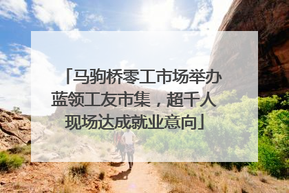 马驹桥零工市场举办蓝领工友市集，超千人现场达成就业意向