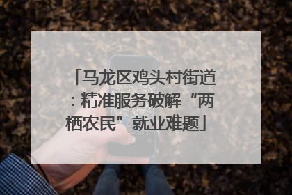 马龙区鸡头村街道：精准服务破解“两栖农民”就业难题