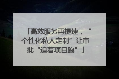 高效服务再提速，“个性化私人定制”让审批“追着项目跑”