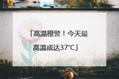 高温橙警！今天最高温或达37℃