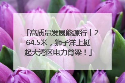 高质量发展能源行丨264.5米，狮子洋上挺起大湾区电力脊梁！