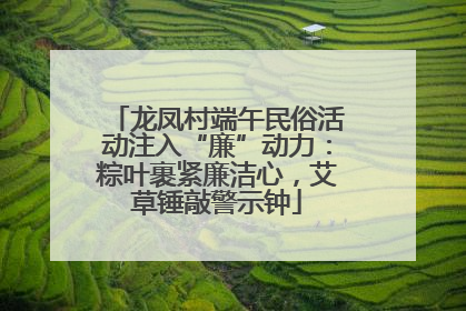 龙凤村端午民俗活动注入“廉”动力：粽叶裹紧廉洁心，艾草锤敲警示钟