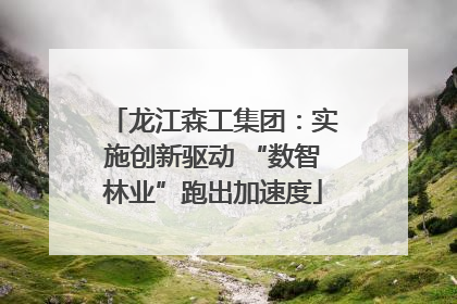 龙江森工集团：实施创新驱动 “数智林业”跑出加速度