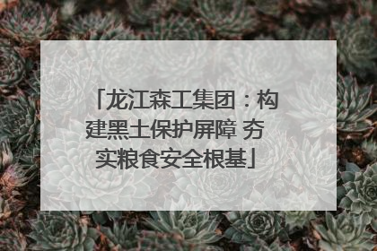 龙江森工集团：构建黑土保护屏障 夯实粮食安全根基