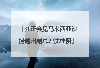 龚正会见马来西亚沙捞越州副总理沈桂贤