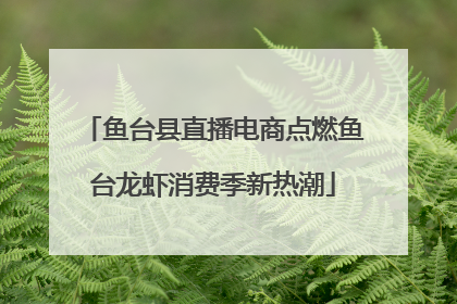 鱼台县直播电商点燃鱼台龙虾消费季新热潮