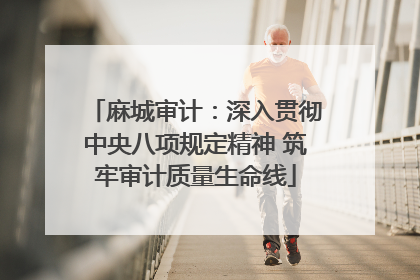 麻城审计：深入贯彻中央八项规定精神 筑牢审计质量生命线