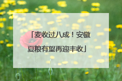 麦收过八成！安徽夏粮有望再迎丰收