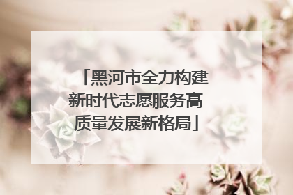 黑河市全力构建新时代志愿服务高质量发展新格局