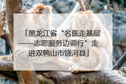 黑龙江省“名医走基层——志愿服务边疆行”走进双鸭山市饶河县