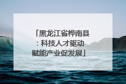 黑龙江省桦南县：科技人才驱动 赋能产业促发展