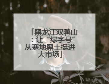黑龙江双鸭山：让“绿字号”从寒地黑土挺进大市场