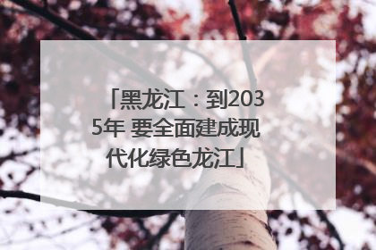 黑龙江：到2035年 要全面建成现代化绿色龙江