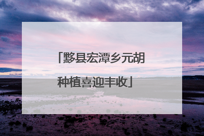 黟县宏潭乡元胡种植喜迎丰收