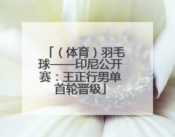 （体育）羽毛球——印尼公开赛：王正行男单首轮晋级