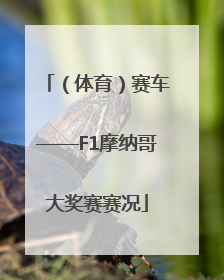 （体育）赛车——F1摩纳哥大奖赛赛况