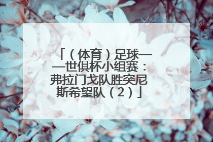 （体育）足球——世俱杯小组赛：弗拉门戈队胜突尼斯希望队（2）