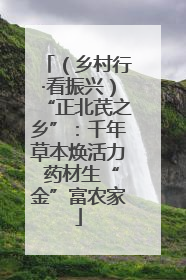 （乡村行·看振兴）“正北芪之乡”：千年草本焕活力 药材生“金”富农家