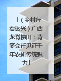 （乡村行·看振兴）广西龙脊梯田：背篓变迁见证千年农耕传统魅力