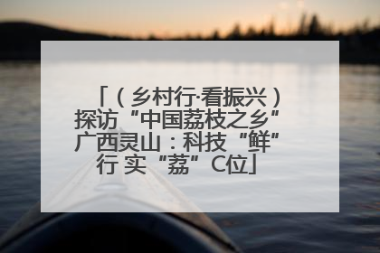 （乡村行·看振兴）探访“中国荔枝之乡”广西灵山：科技“鲜”行 实“荔”C位
