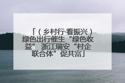 （乡村行·看振兴）绿色出行催生“绿色收益” 浙江瑞安“村企联合体”促共富