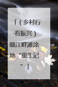 （乡村行·看振兴）赣江畔滩涂地“重生记”