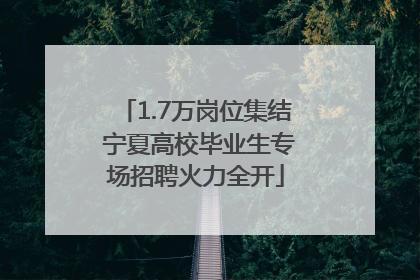 1.7万岗位集结 宁夏高校毕业生专场招聘火力全开