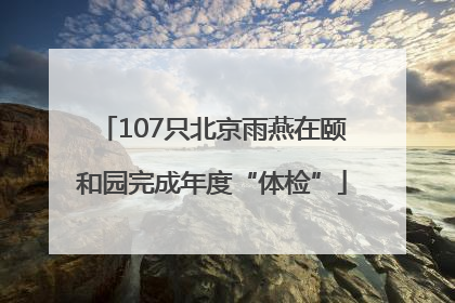 107只北京雨燕在颐和园完成年度“体检”
