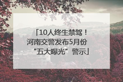 10人终生禁驾！河南交警发布5月份“五大曝光”警示
