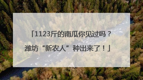 1123斤的南瓜你见过吗？潍坊“新农人”种出来了！