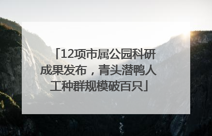 12项市属公园科研成果发布，青头潜鸭人工种群规模破百只