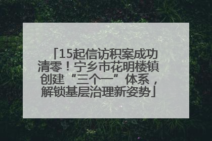 15起信访积案成功清零！宁乡市花明楼镇创建“三个一”体系，解锁基层治理新姿势