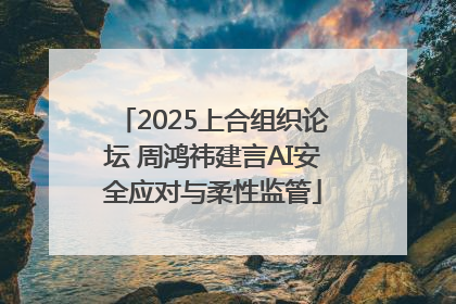 2025上合组织论坛 周鸿祎建言AI安全应对与柔性监管