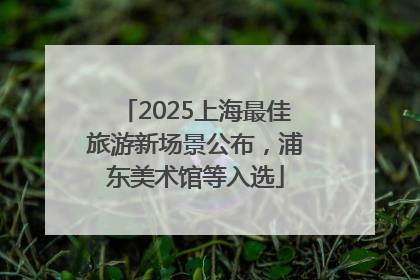 2025上海最佳旅游新场景公布，浦东美术馆等入选