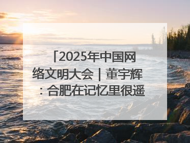 2025年中国网络文明大会｜董宇辉：合肥在记忆里很遥远也很亲切