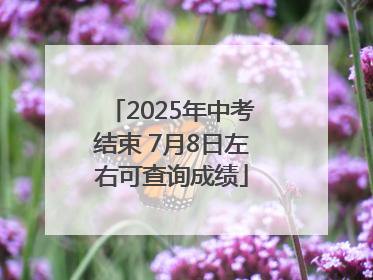 2025年中考结束 7月8日左右可查询成绩