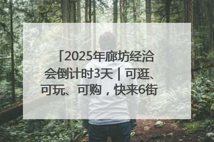 2025年廊坊经洽会倒计时3天｜可逛、可玩、可购，快来6街16巷逛市集