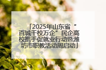2025年山东省“百城千校万企”民企高校携手促就业行动暨潍坊市职教活动周启动