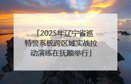 2025年辽宁省巡特警系统跨区域实战拉动演练在抚顺举行