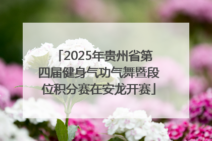 2025年贵州省第四届健身气功气舞暨段位积分赛在安龙开赛