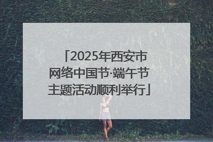 2025年西安市网络中国节·端午节主题活动顺利举行