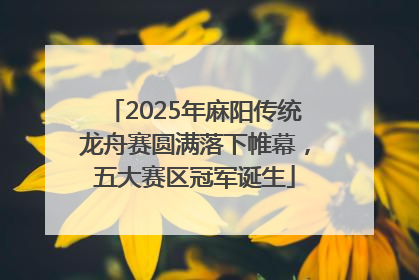 2025年麻阳传统龙舟赛圆满落下帷幕，五大赛区冠军诞生