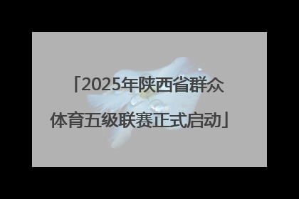 2025年陕西省群众体育五级联赛正式启动
