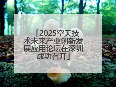 2025空天技术未来产业创新发展应用论坛在深圳成功召开