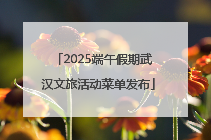 2025端午假期武汉文旅活动菜单发布