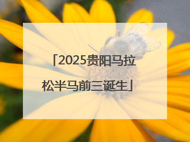 2025贵阳马拉松半马前三诞生